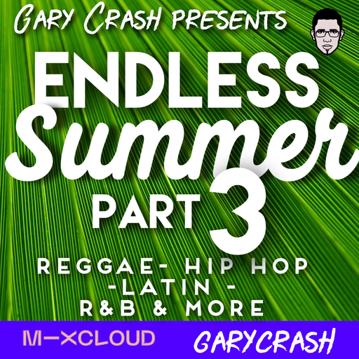 Endless Summer 3 - Reggae, Dancehall, R&B, Latin, Old School and more