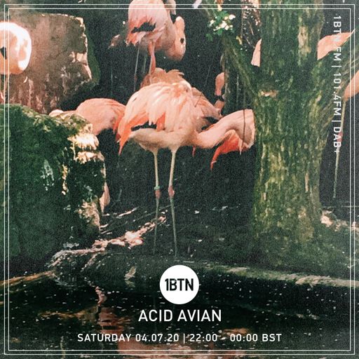 Acid Alvian - 04.07.2020