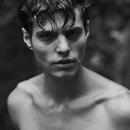 Steppenwolf (ChillTrip)