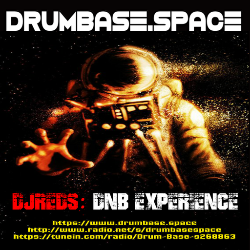dnb experience 31082019