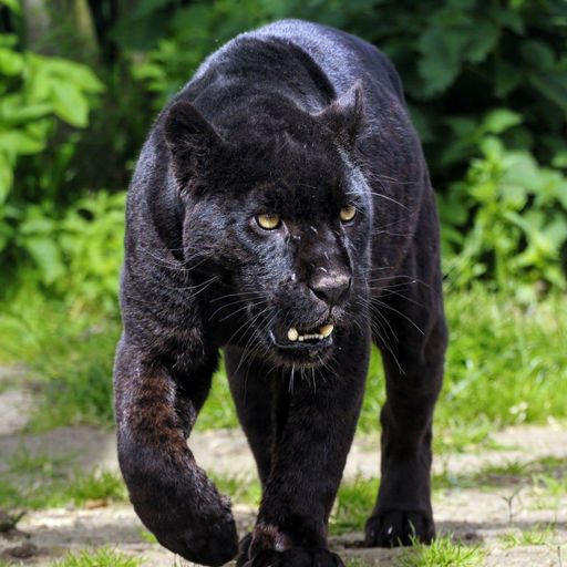 DJ Destiny (Music Inc.) presents Hip Hop Mix Vol 3 04.08.2019