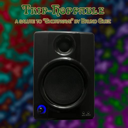 Trip-Hoppable (Salute to "Shortwave" by Bruno Guez)