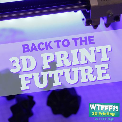 WTFFF 046: Back to the 3D Print Future