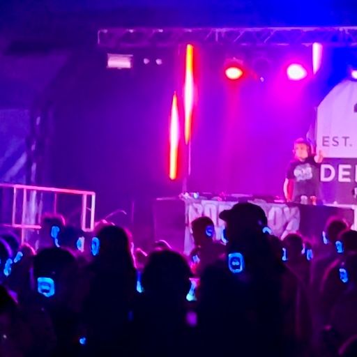 Rory Hoy Live @ Deer Shed Festival, July 28th 2024
