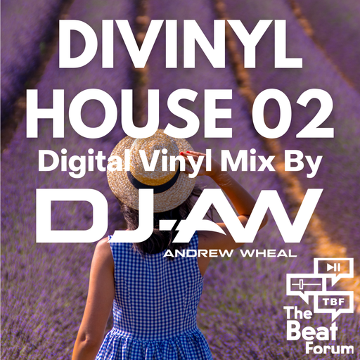 Divinyl House 02 - Mixed By DJ-AW