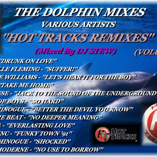 THE DOLPHIN MIXES - VARIOUS ARTISTS - ''HOT TRACKS REMIXES'' (VOLUME 17)