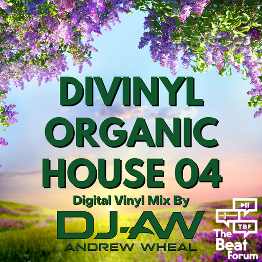 Divinyl Organic House 04 Mixed By DJ-AW