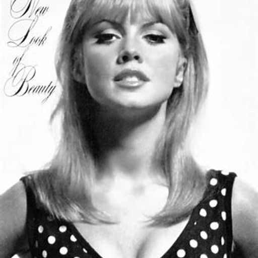 In the Groove (FunkyFusionSmoothJazz)