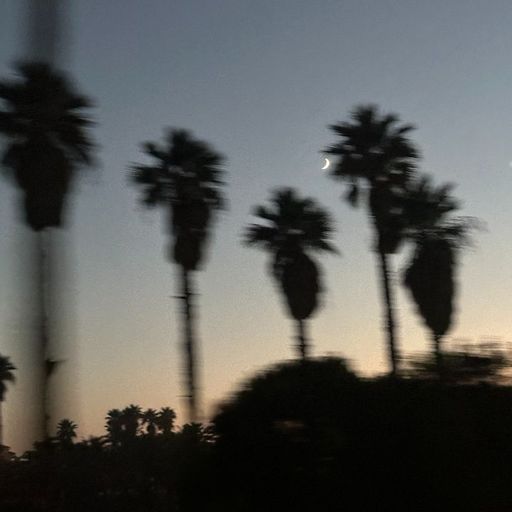 Waves of Peace w/ Jaxx TMS - 4th January 2026