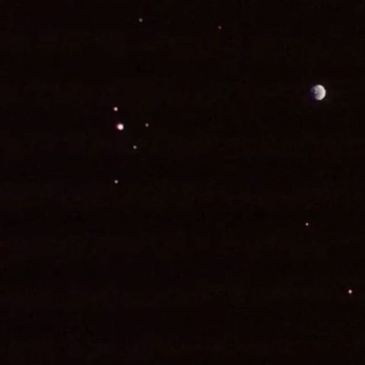 Leila Samir - 16th November 2025