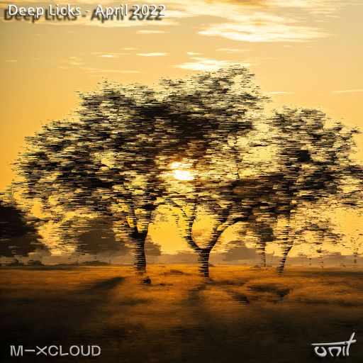 Deep Licks - April 2022