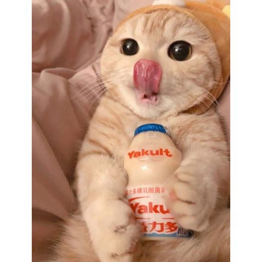 DJ'YE《李常超 - 十年人間 x 傲七爺 - 晚夜微雨問海棠 x 大籽、 Lil E - 放空》Rmx 2x21 Private MixTape Just For Yakult 15/8/2021