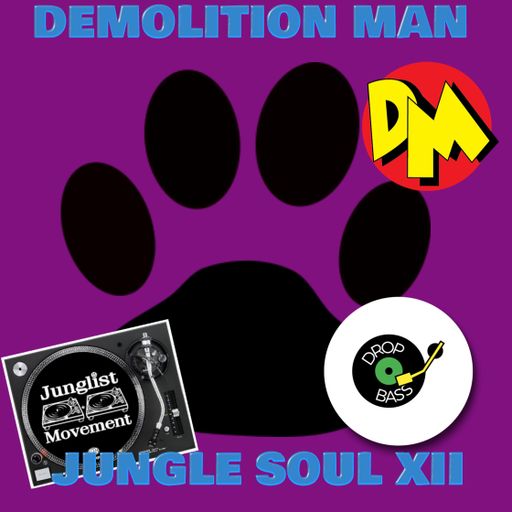 JUNGLESOUL TWELVE