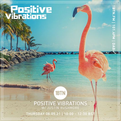 Positive Vibrations with Justin Rushmore - 06.05.2021