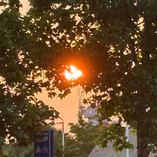 culturalwerker - Happy Survival invites commit and culturalwerker - 4th September 2025