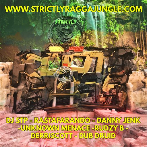 ROOTS N BASS PROMO MIX BY DJ STP