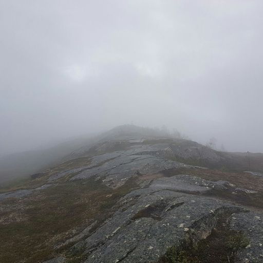 For Beard Mountain