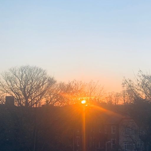 Late Night Little Louie #16: MADERA VERDE