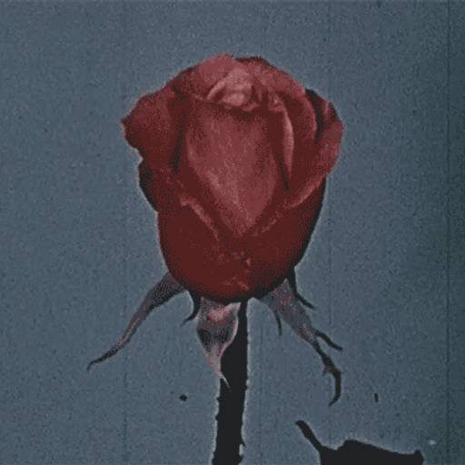 Cryptomnesia #48 Poetics of RED 24.07.2021