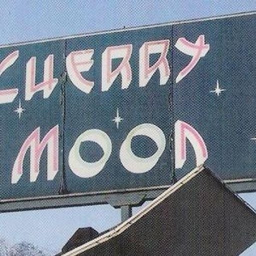 Yves De Ruyter @ Cherry Moon (Lokeren - Belgium) - 24 December 1994