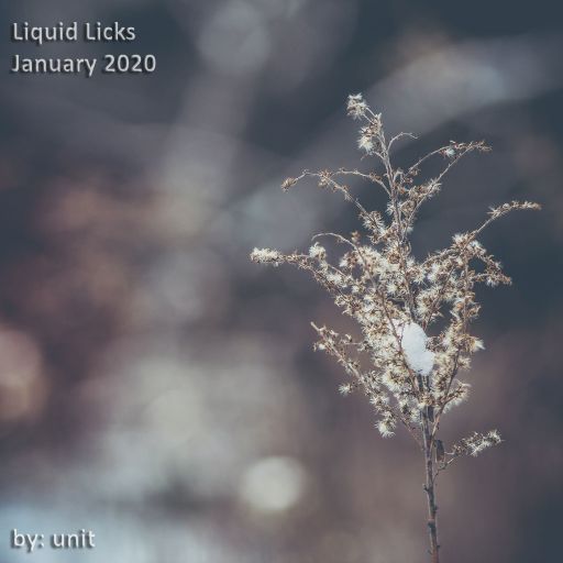 Liquid Licks Januar 2020