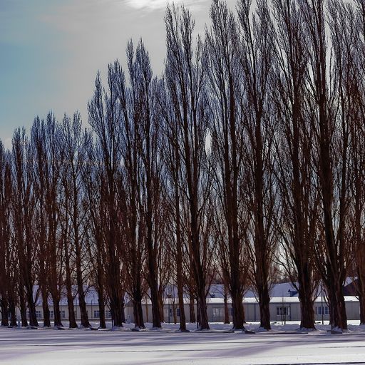 Hörstolpersteine 2018 #4