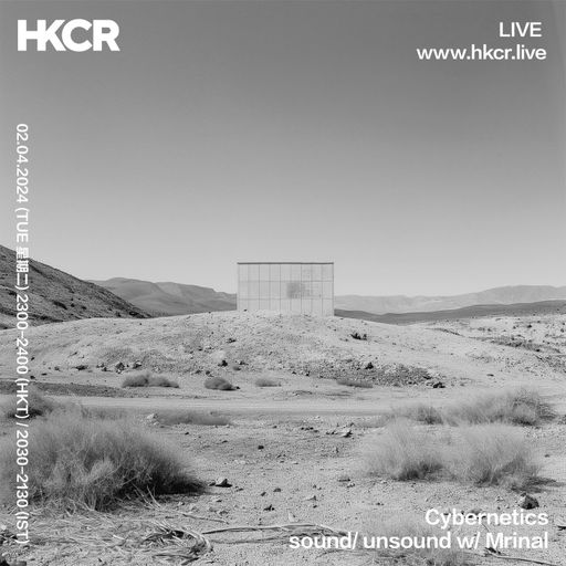 Cybernetics: sound/unsound w/ Mrinal - 02/04/2024