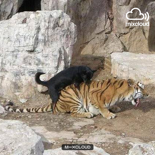 ข้างหน้าพี่จะมีนู๋เสมอ 666 ʙʏ ฮิป