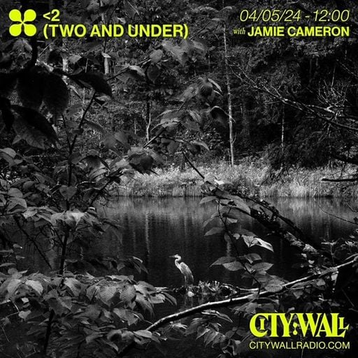 <2 (Two and Under) w/ Jamie Cameron - May 2024
