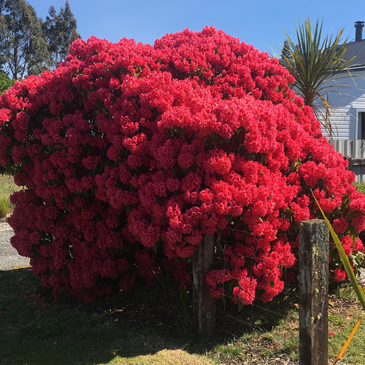 ARRHYTHMIA - 3rd March 2026