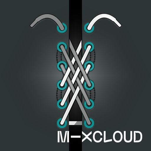 2020 A Shoelace Prophecy