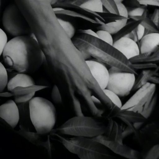 Melody and Concrete with Kali Louise: Antithesis (22/08/2018)