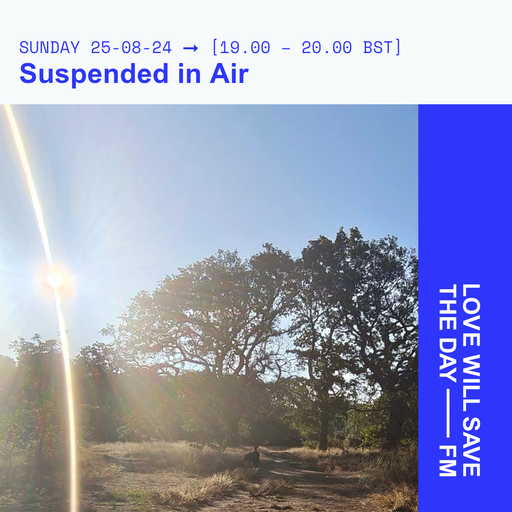2025-08-24-Suspended in Air-Sean Carroll