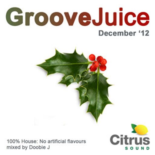 Groove Juice - Hollyberry 2012