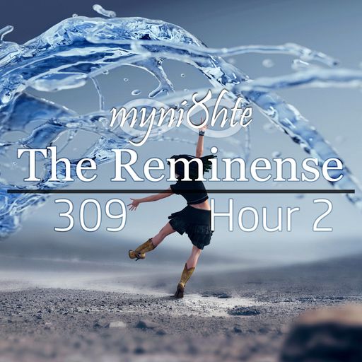 The Reminense 309 - Hour 2