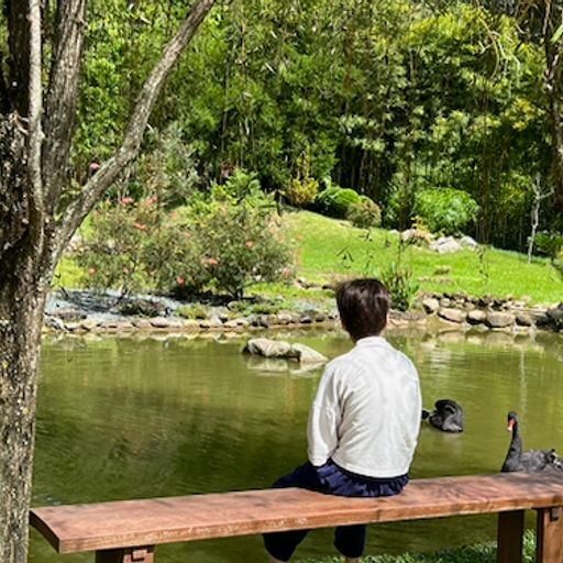 The Freedom Suite - Music For A Peaceful Now