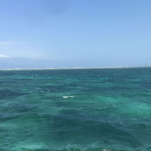 Waya Fyam w/ Prieste$$ TelzzzzZZ - 19th December 2025