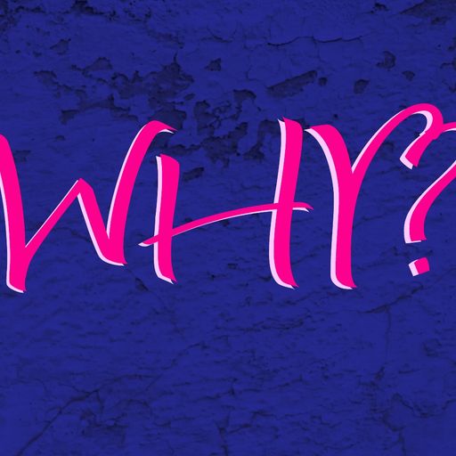 Tell Me Why - House Set