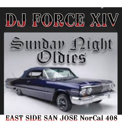 DJ FORCE 14 SUNDAY OLDIE'Z NORTHERN CALIFAS ESSJ