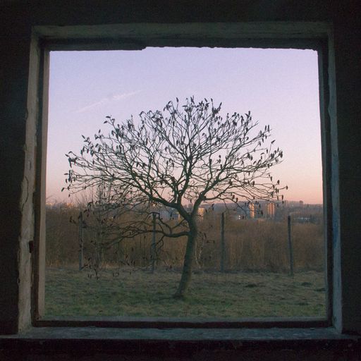 TRANSIENCE #34 with super inter 18.01.2021