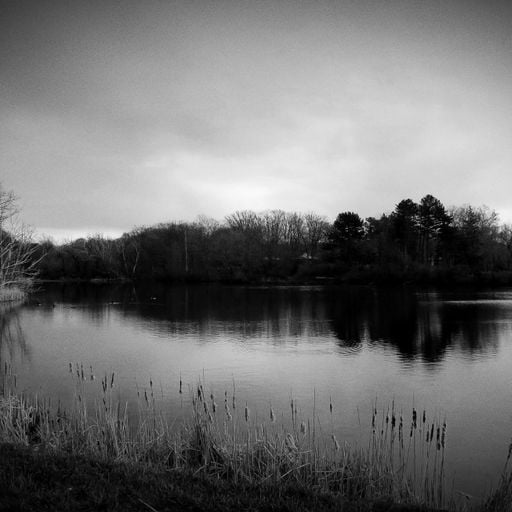 Before the Deluge