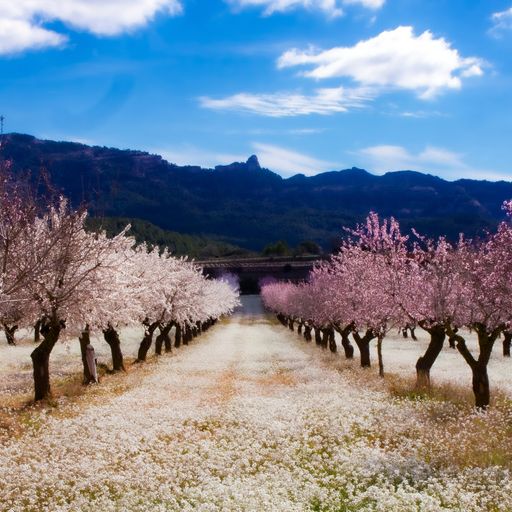 DREADheadz DUB´n Reggae  9 JAM homerec 141 am 29.4.2025