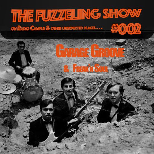 The Fuzzeling Show #02 : November Nuggets