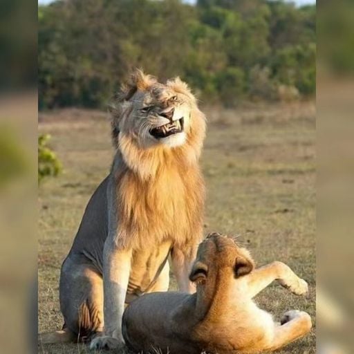 DJ'YE【Yakult Private Mix VVIP】《En - 鏡花水月 x Tokyo Drift Vs Kucing Garong Tarling x En - 曲終人亦散》Mixtape