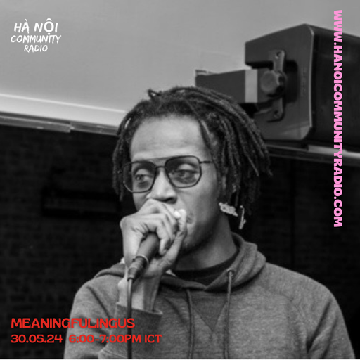Meaningfulingus w/ Stanford Reid 30.5.2024
