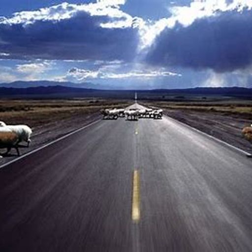 Crossroads (EthnicFusion)