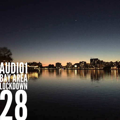 BAY AREA LOCKDOWN 28
