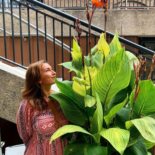 Violet Rays w/ Geoglitch - 12/09/23