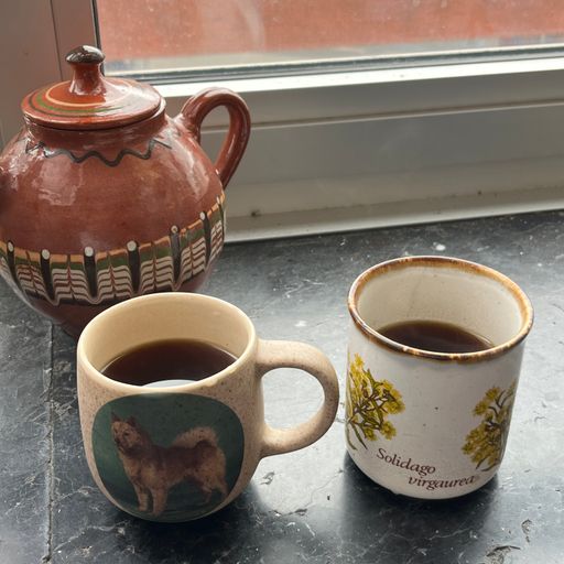 Brothcast w/ Céline and Noah 25/07/25