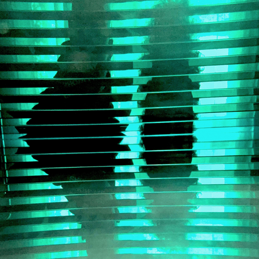 What Means the World 2 U: The Future w/ Wave Segal  - 6th May 2025